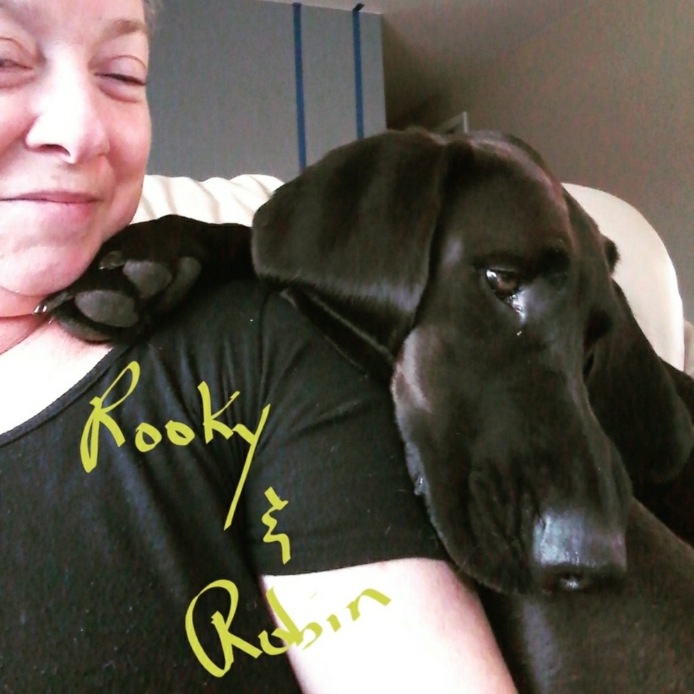 Meet your Posher, Robin